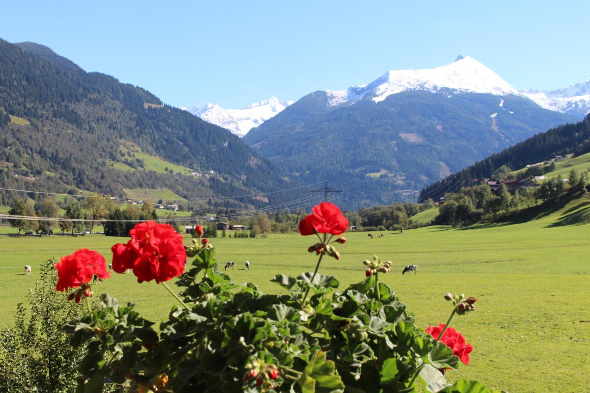 Schwaiger * Bad Hofgastein